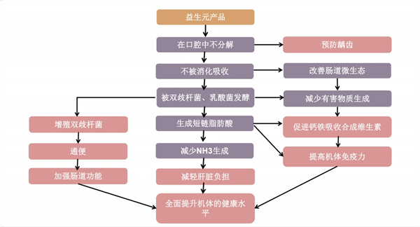 行业变革之际，AG厅创园益生元崭露头角